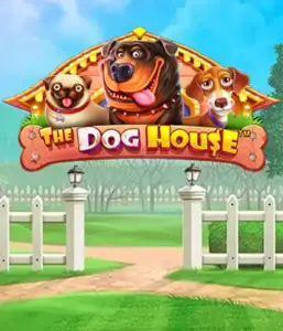 From Pragmatic Play comes The Dog House, offering a delightful adventure into the world of charming canines. Enjoy gameplay elements such as multipliers, designed for providing exciting wins. Ideal for those who enjoy a cheerful atmosphere and the opportunity to win big.