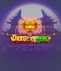 Enter a legendary quest with Dragon Hero Slot by Pragmatic Play, featuring vivid graphics of mighty dragons and epic encounters. Discover a realm where magic meets adventure, with symbols like enchanted weapons, mystical creatures, and treasures for a thrilling adventure.